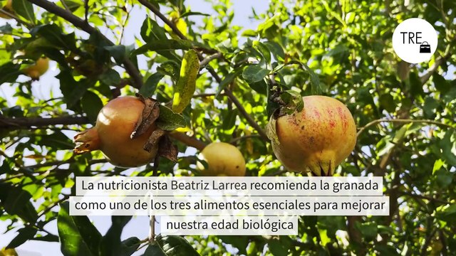 Todos los beneficios para la salud (física y mental) de este superalimento otoñal recomendado por los expertos en longevidad