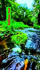 Beautiful place #naturalbeauty#beauty#naturalbeauty933