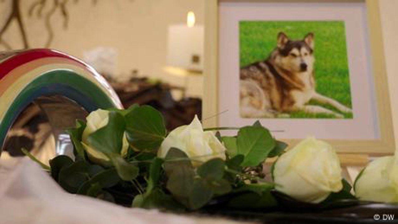 Mourning a pet