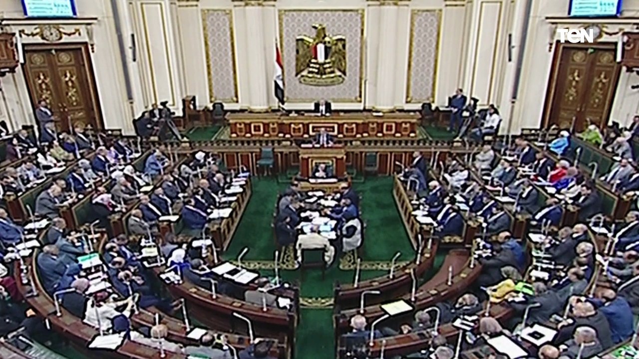 وزير المالية: حققنا 90 مليار جنيه فائضا أوليا.. برغم أننا فقدنا 60% من ايرادات قناة السويس