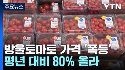 "방울토마토가 이 가격?"...소비자도 식품업체도 '근심' / YTN