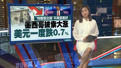 美国大选最新预测：贺锦丽以微弱优势赢得276票，特朗普262票🗳️