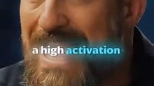 A high activation state - Andrew Huberman