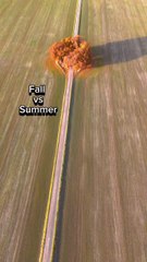 "A Transition I've Been Waiting To Do For A While Do You Prefer Fall or Summer Follow For More Videos Have Virelreels"...!!