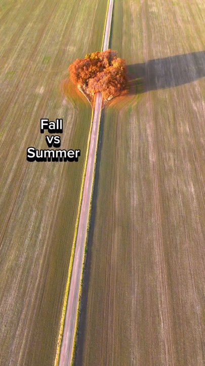 "A Transition I've Been Waiting To Do For A While Do You Prefer Fall or Summer Follow For More Videos Have Virelreels"...!!