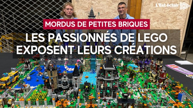 Des créations Lego toutes plus exceptionnelles les unes que les autres exposées à Saint-Julien-les-Villas