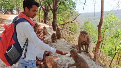 कैलाश गुफा जशपुर छत्तीसगढ __ kailash gufa shiv mandir __ gahira guru ka tapo bhumi __  waterfall