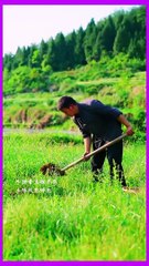 Great adia wow what Amezing