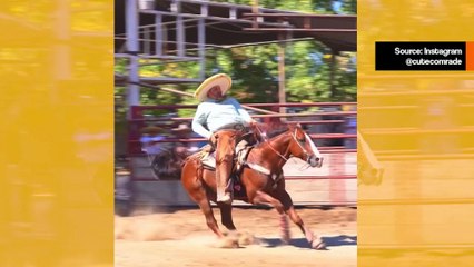 Vaikuttava video tallentaa hevosen, jolla on takajarru