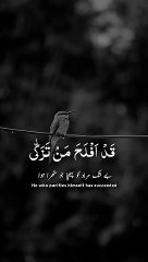 Surah Al-A'la - 14-19