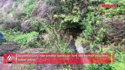 Sapanca Gölü'nde amatör balıkçılar gördü, ekipler hemen harekete geçti