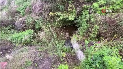 Amatör balıkçılar buldu! Sakarya seferber oldu