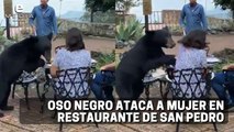 Oso negro ataca a una mujer en restaurante de Nuevo León