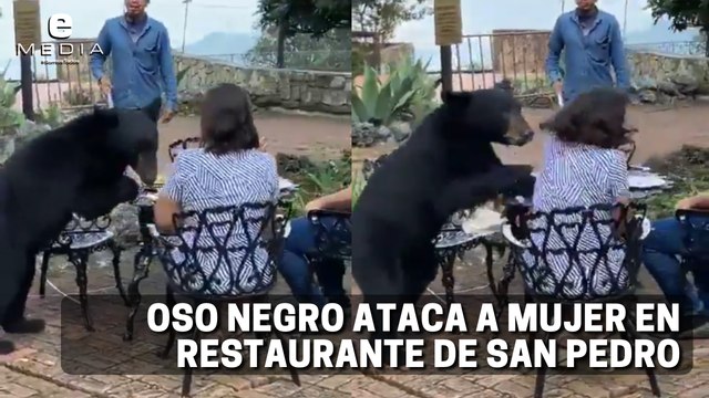 Oso negro ataca a una mujer en restaurante de Nuevo León