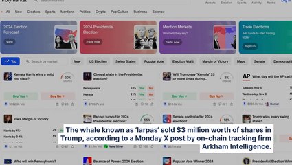 Polymarket Whale Dumps $3M Bet On Trump After Legendary Trader Advises Caution: 'Recommend Against Leverage And Reckless Gambling'