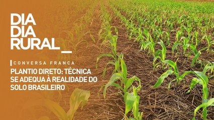 Plantio direto: técnica se adequa à realidade do solo brasileiro