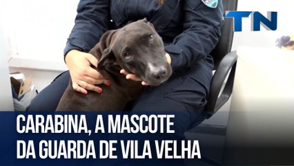 Carabina, a mascote da Guarda de Vila Velha