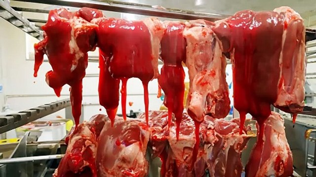 An Honest Apology About Our Meat - Honest Apologies (Boar's Head Parody)