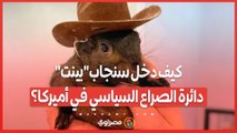 كيف دخل سنجاببينت دائرة الصراع السياسي في أميركا؟