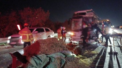 평택시흥고속도로 시화대교 인근 4대 추돌...15명 다쳐 / YTN