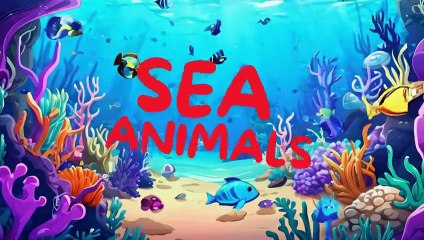 SEA ANIMALS FUN VID.