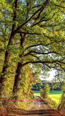 ✅Música para relaxar de piano após almoço e trabalho #Shorts