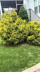 Guys best friends fly across the country to surprise him for his birthday in dinosaur cost