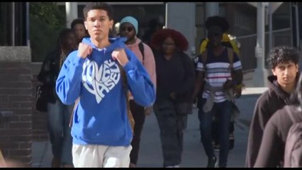 Usa 2024, Harris o Trump? a chi andrà il voto delle minoranze etniche