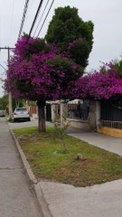 Houses in Santiago, Chile: P2 