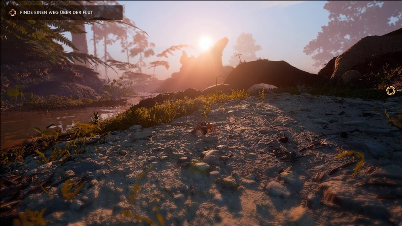 Empire of the Ants: 3 Minuten Gameplay aus dem schönsten Strategiespiel des Jahres