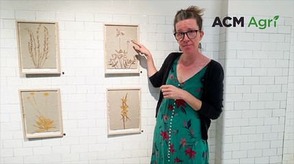 Creating art from horse poo and weeds