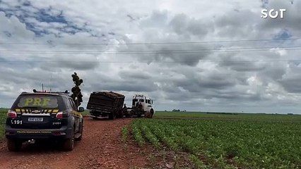 PRF apreende 200 mil maços de cigarros após perseguição e capotamento em Palotina