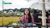 색다른 농촌 힐링 여행을 원한다면 부여로 떠나세요! ★숨은 스폿 공개★ #부여여행