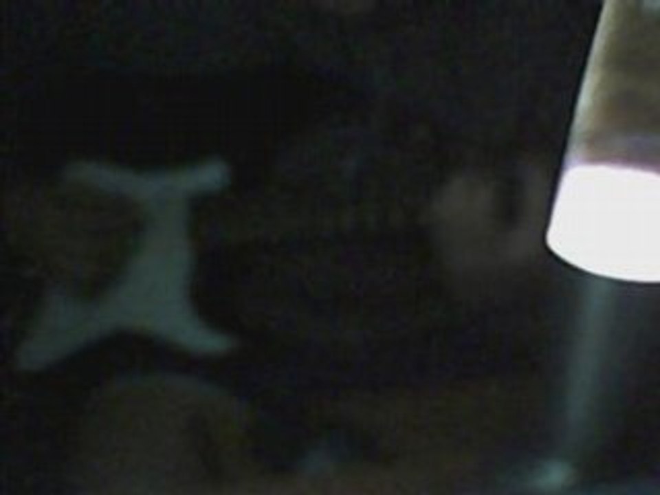 Cover guitare This Lullaby QOTSA Queens of the Stone Age