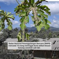 Fakta-fakta Erupsi Gunung Lewotobi Laki-laki NTT