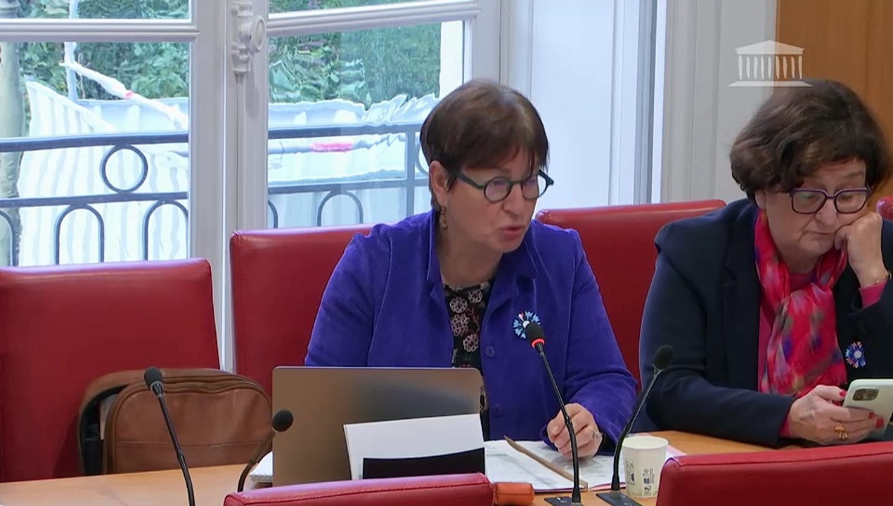 Commission des lois : Examen pour avis des crédits de la mission « Pouvoirs publics », « Conseil et contrôle de l’Etat : Conseil d’Etat et autres juridictions administratives » - Mercredi 6 novembre 2024