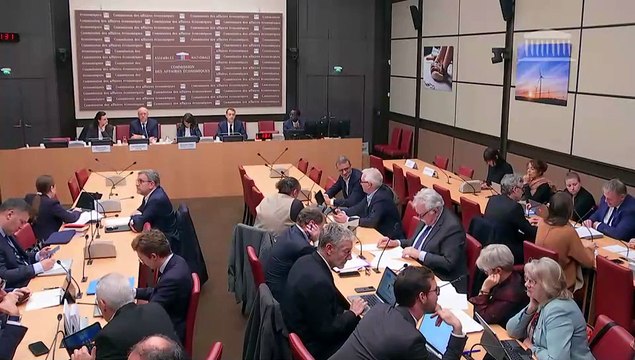 Commission des affaires économiques : M. Jean-Philippe Imparato, directeur général de la Région Europe élargie, et Mme Marion Beyret, directrice de la Communication et des Affaires publiques France du groupe Stellantis - Mercredi 6 novembre 2024