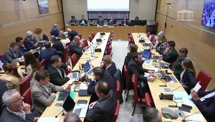 Commission du développement durable : M. Antoine Pellion, secrétaire général à la planification écologique - Mercredi 6 novembre 2024