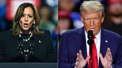 ¿Kamala Harris o Donald Trump? El excanciller Guillermo Fernández analizó qué quieren los estadounidenses