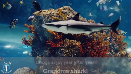 Baby shark With a twist V5 #Babysensory  #BabySharkDance #DaddyShark #GrandmaShark