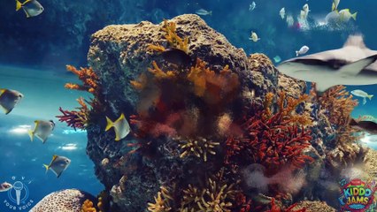 Baby shark With a twist V4 #Babysensory  #BabySharkDance #DaddyShark #GrandmaShark