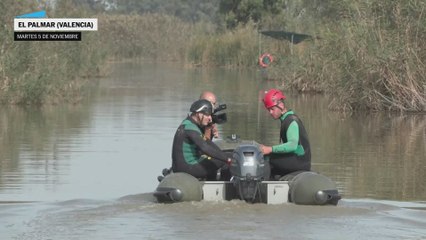 Tareas de búsqueda de la Guardia Civil en la Albufera