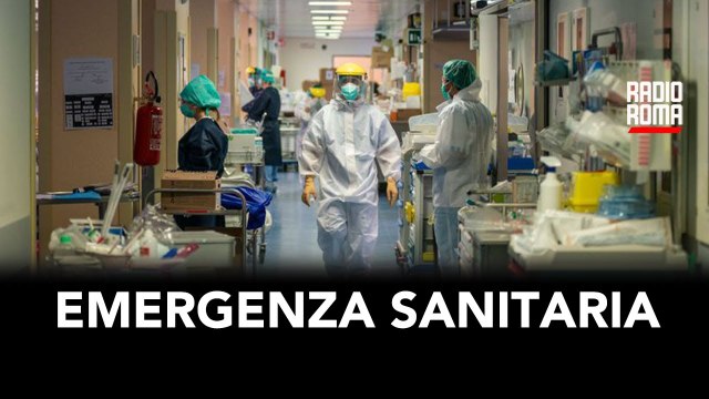 Indagini sull'emergenza sanitaria - Il servizio