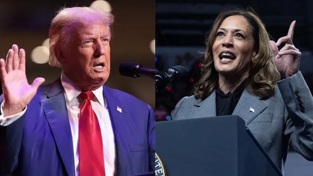 Election 2024: Which Stars Endorsed Kamala Harris vs. Who Backed Donald Trump | THR News Video