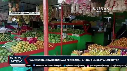 Wamentan: Jika Bahaya Peredaran Anggur Shine Muscat Akan di Stop