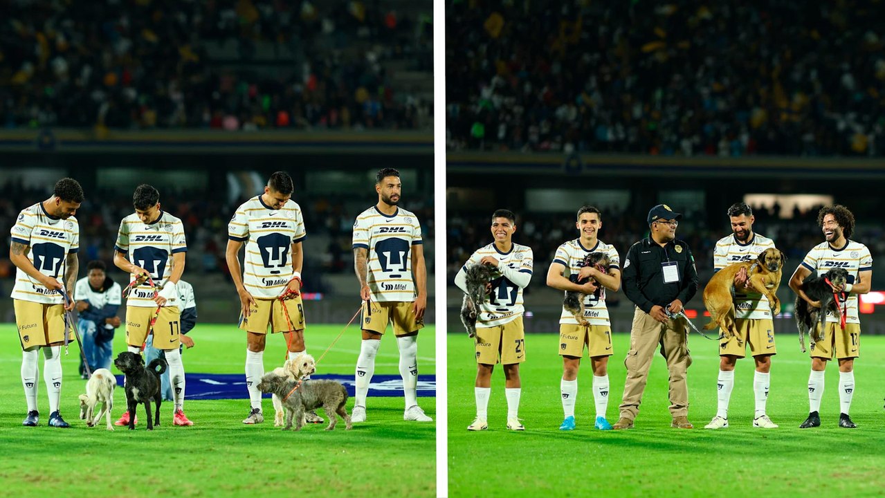 Pumas salta a la cancha a enfrentar a Querétaro acompañado de tiernos perritos