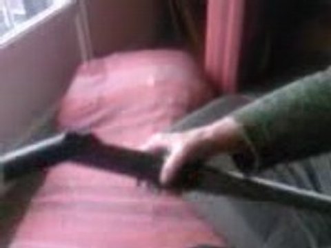 MON CIEN MASTA KI VEU MANGER L ASPIRATEUR