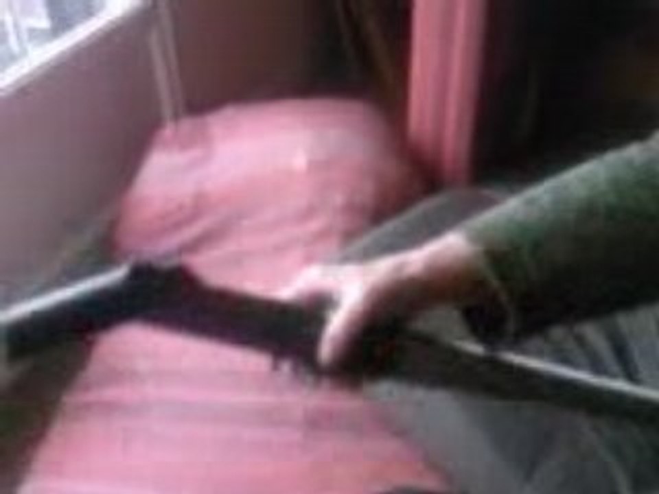 MON CIEN MASTA KI VEU MANGER L ASPIRATEUR