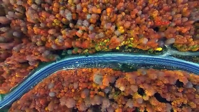 BURSA Domaniç Dağları'na uzanan 'kıvrımlı yollar'da eşsiz sonbahar manzarası