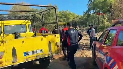 Ormanlık alana hava aracı düştü